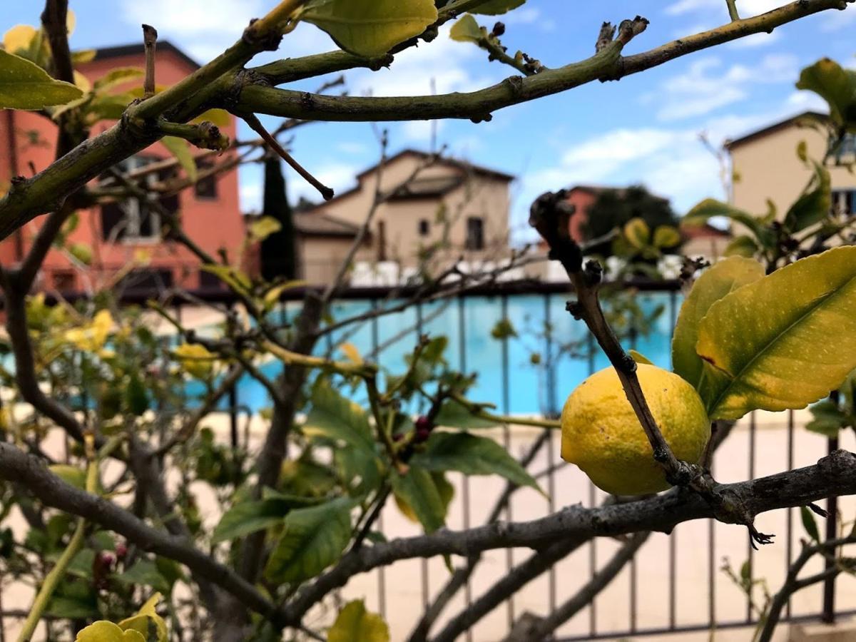 Appartement Dolce Farniente Belgodère Екстериор снимка