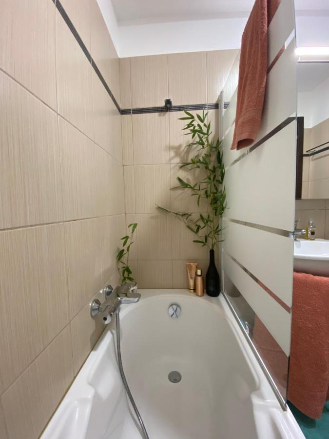 Appartement Dolce Farniente Belgodère Екстериор снимка